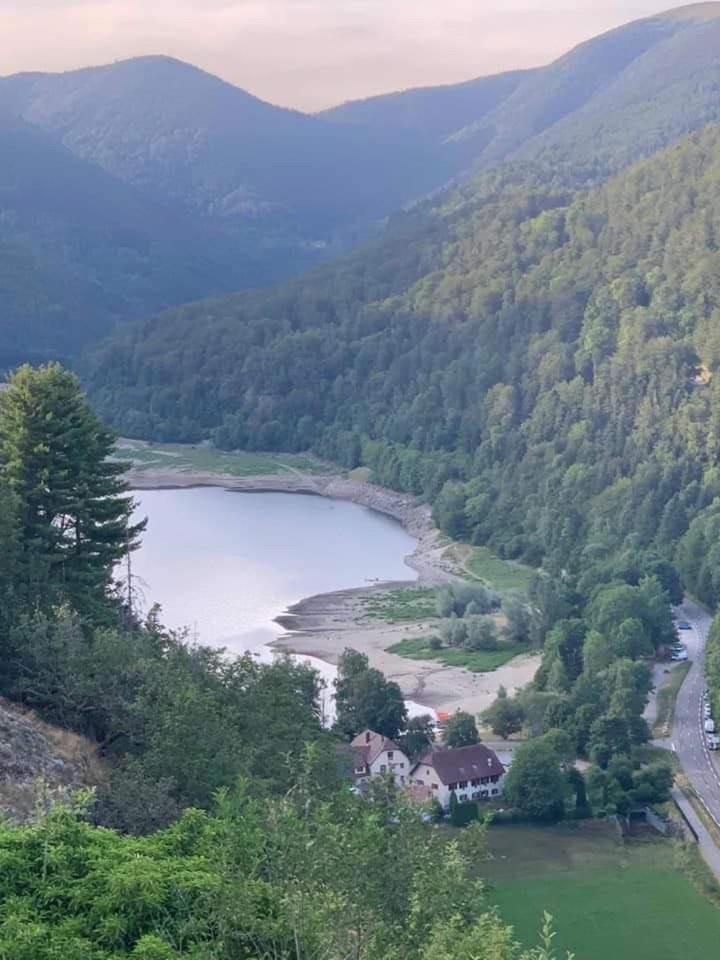 Mollau Petite Maison Au Calme Avec Jardin Cloture Les Animaux Bienvenue מראה חיצוני תמונה